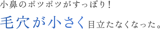 小鼻のポツポツがすっぽり！毛穴が小さく目立たなくなった。